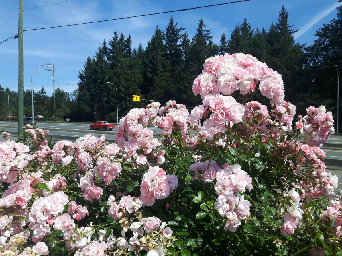 Fuller Lake Chemainus Motel Exterior photo